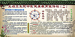 健康宣传栏