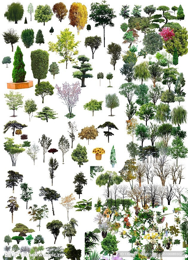 植物综合