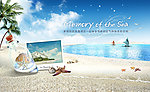 夏日海滩海报