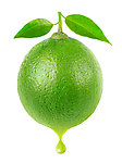 柠檬