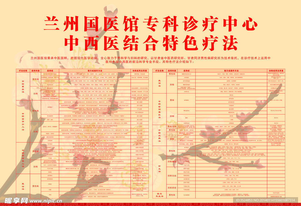 中西医特色疗法
