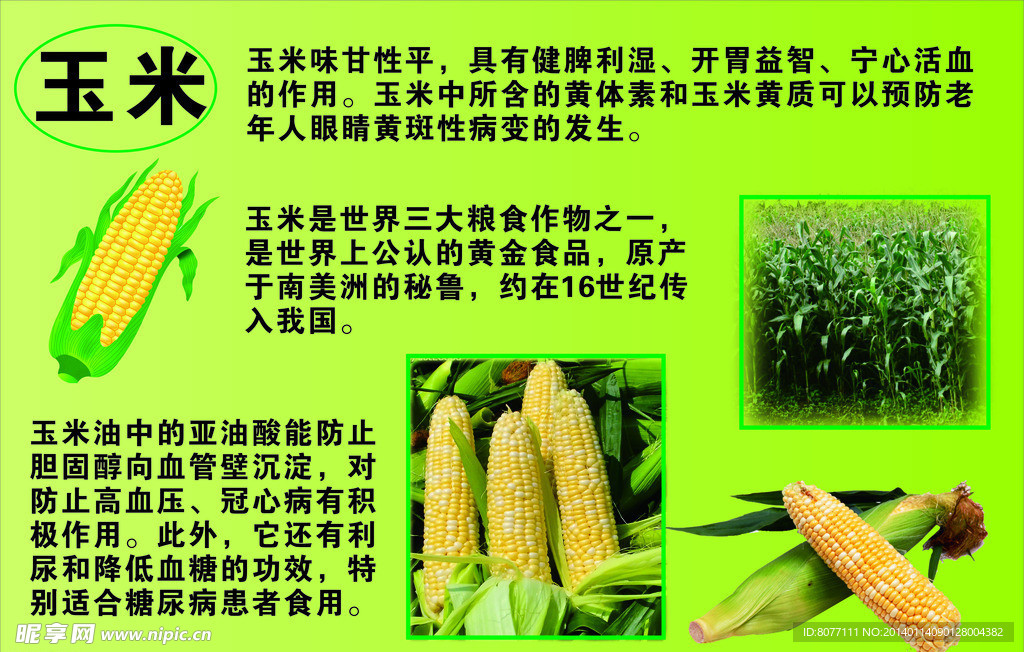 玉米