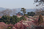 梅花山