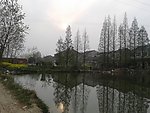 水塘