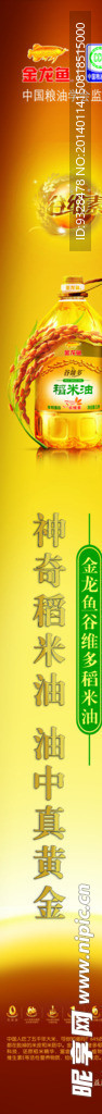 金龙鱼稻米油海报