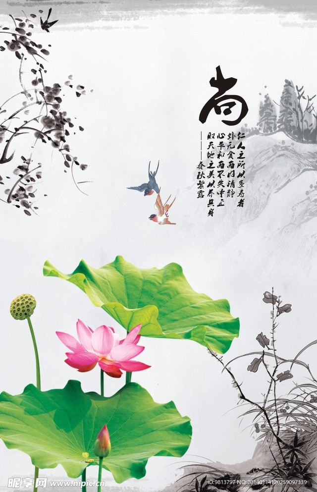 养生