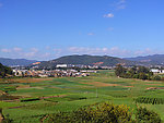 田园风光