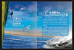 画册扉页 扉页模板