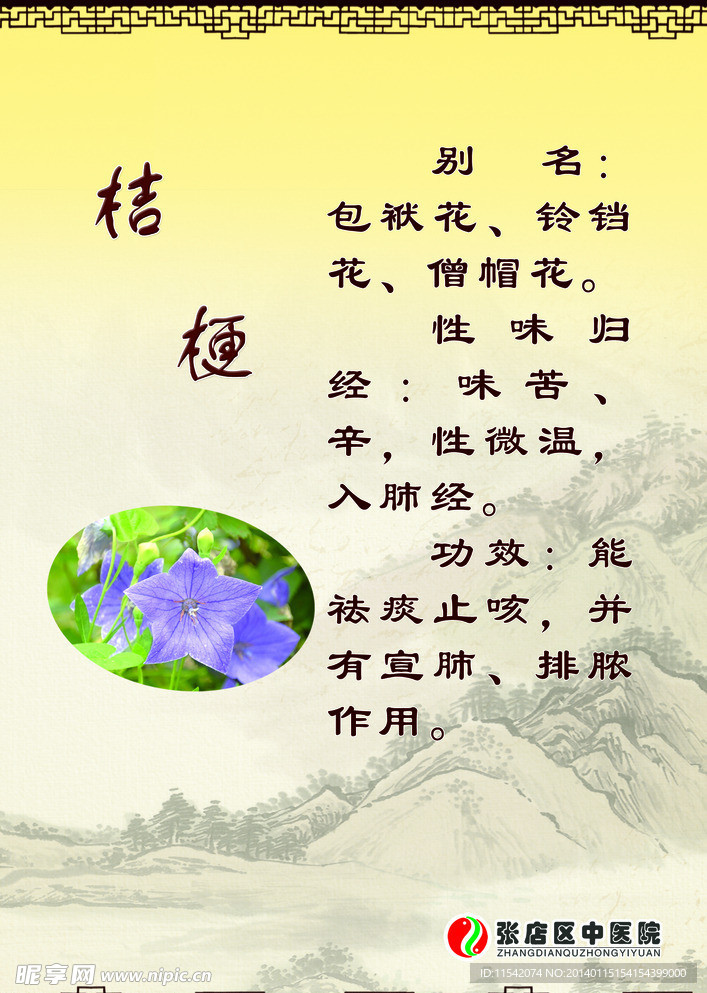 桔梗