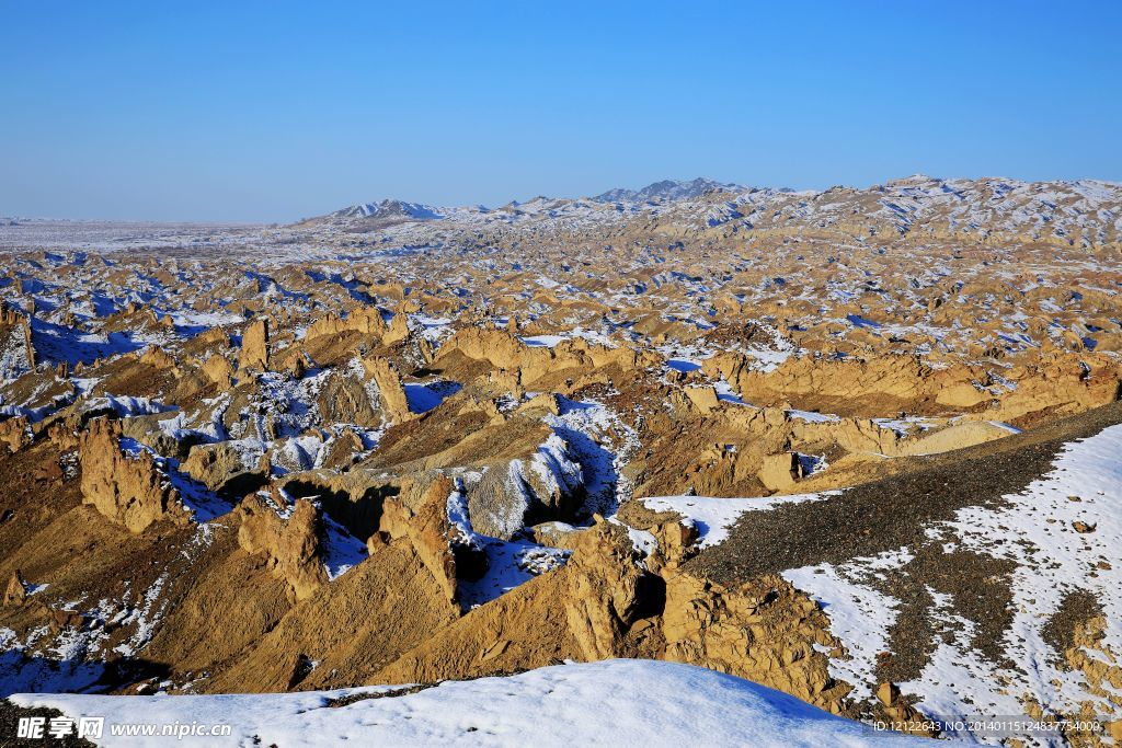 龙山