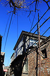 蓝天 胡同