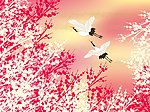 樱花背景