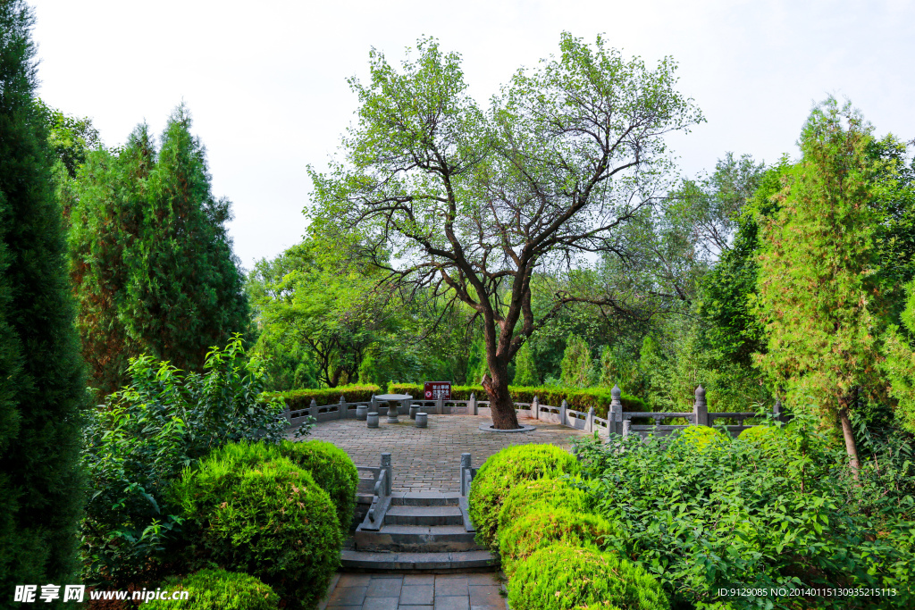 嵩阳书院