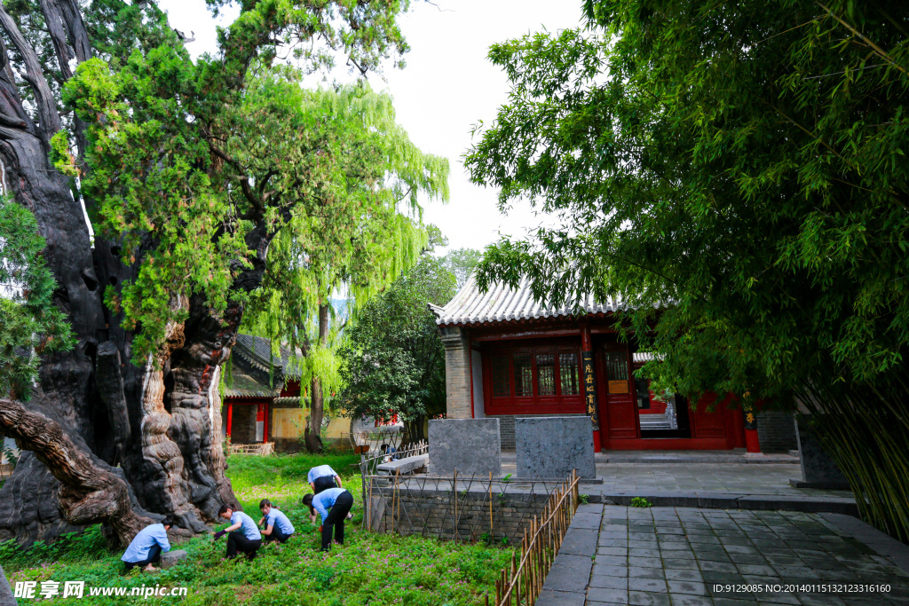 嵩阳书院