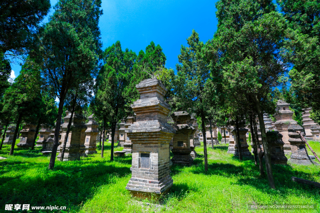 嵩山少林景区塔林