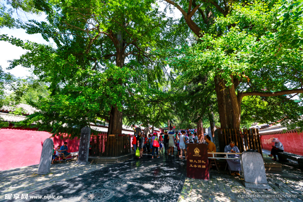 中岳嵩山少林寺