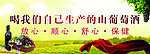 葡萄酒海报