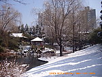 紫竹院雪景