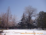 紫竹院雪景