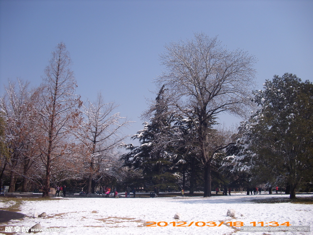 紫竹院雪景