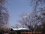 紫竹院雪景