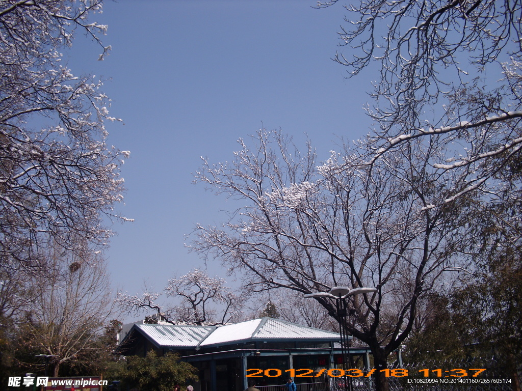 紫竹院雪景