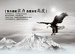 校园文化展板