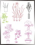 植物立面图