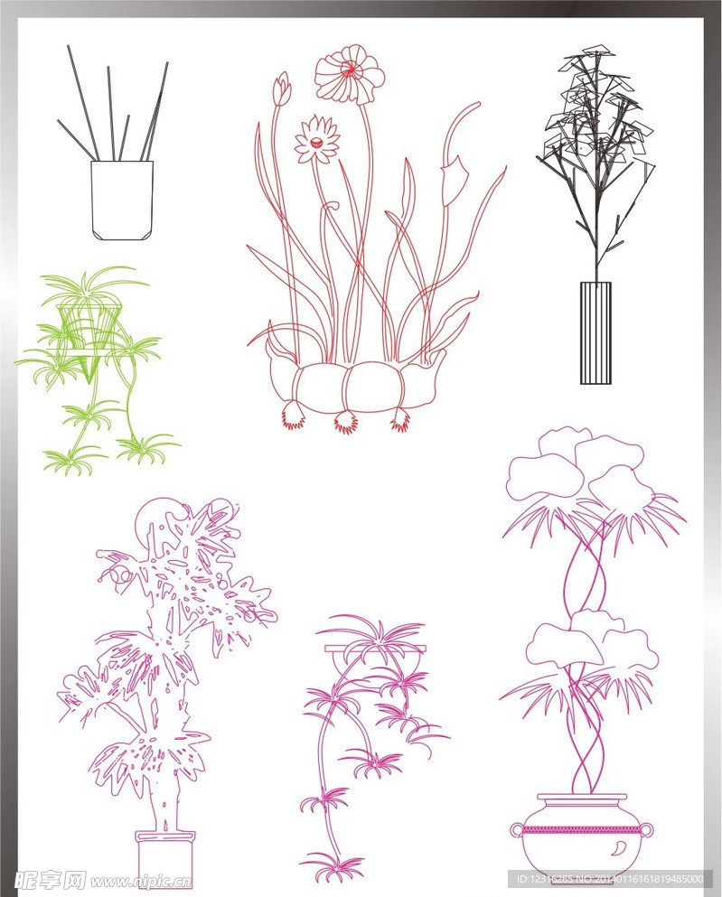 植物立面图