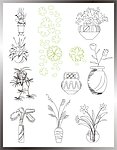 植物立面图