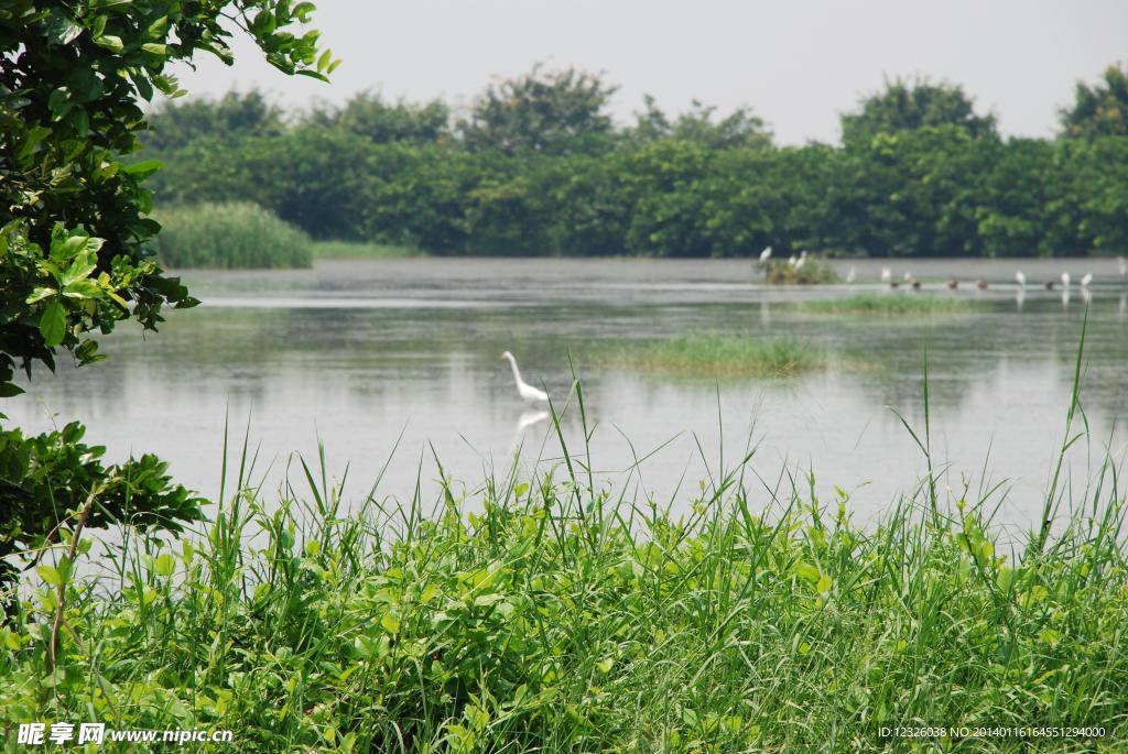 南沙湿地