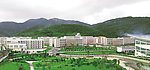 中学