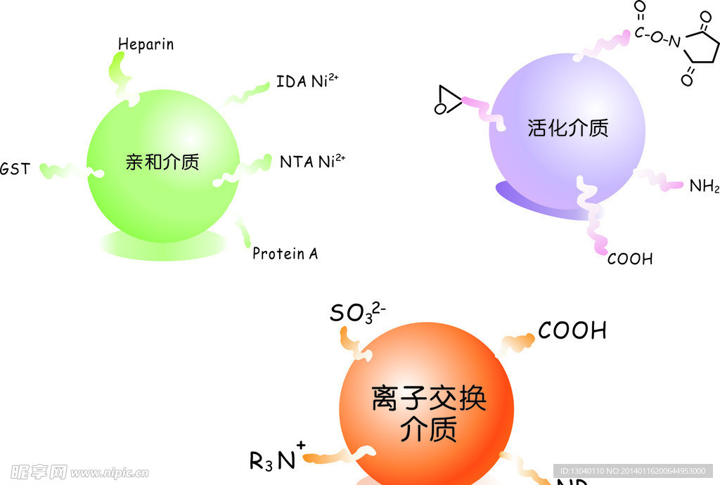 化学 元素 圆