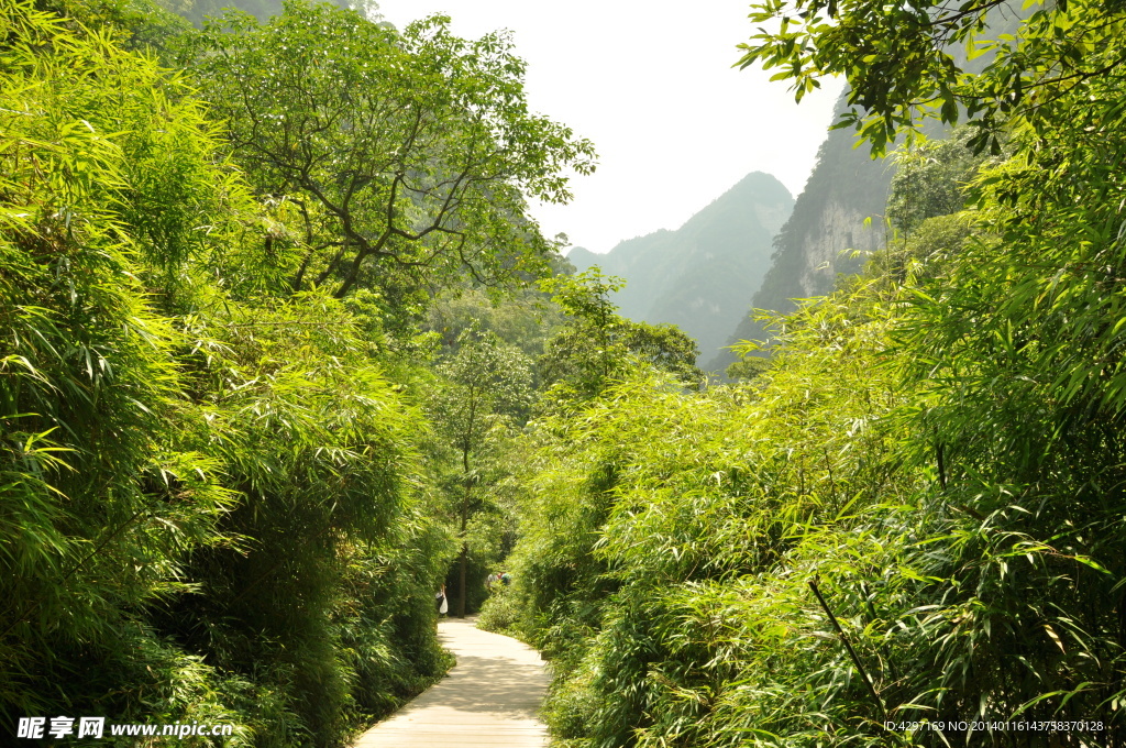 黑山谷