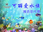 水族馆