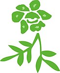 花纹