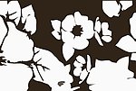 花纹