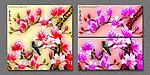 玉兰花无框画