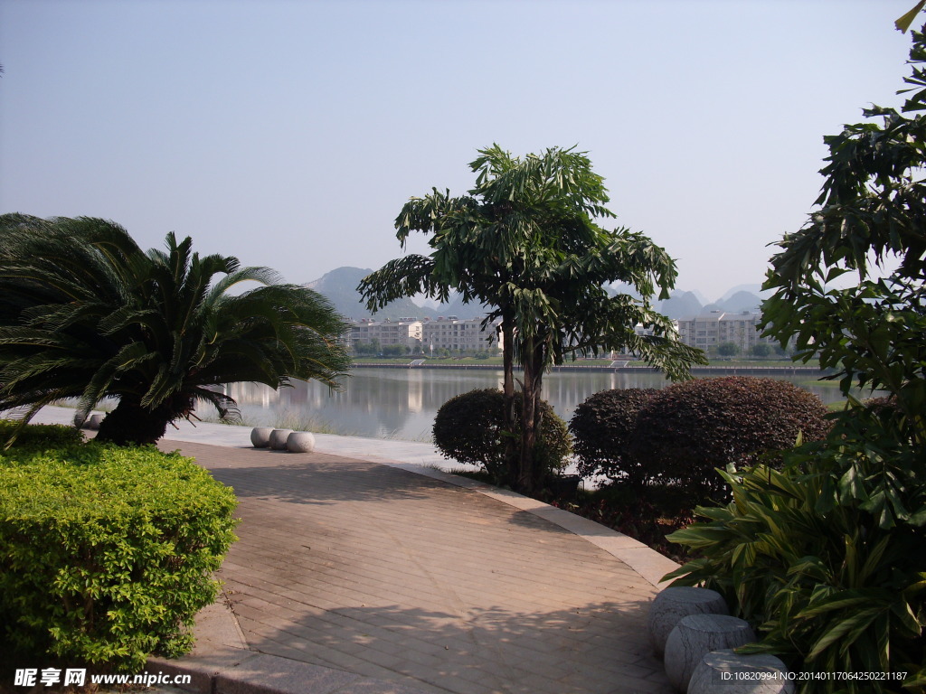 荔浦滨江风景