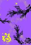 泼墨 腊梅 福