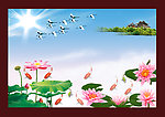 荷花