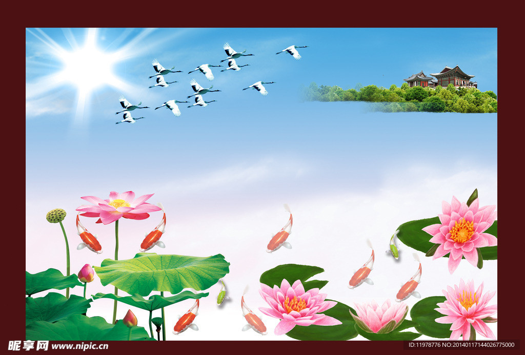 荷花