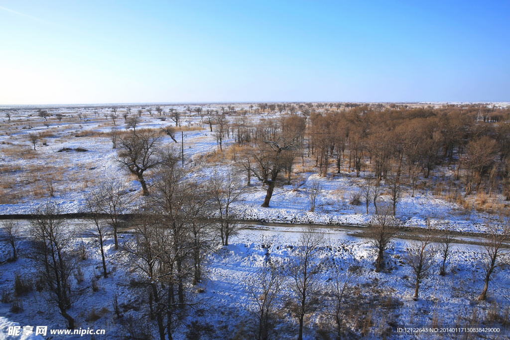 白杨河雪景