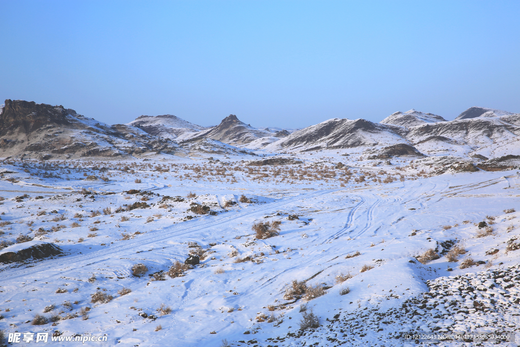 白杨河雪景