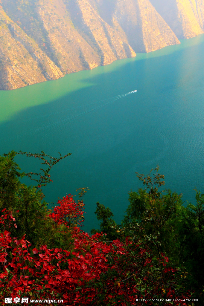 峡江红叶