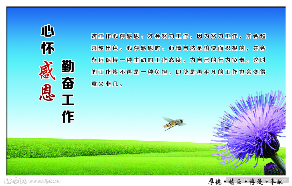 企业文化