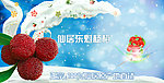 杨梅海报图片