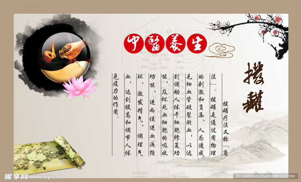 拔罐