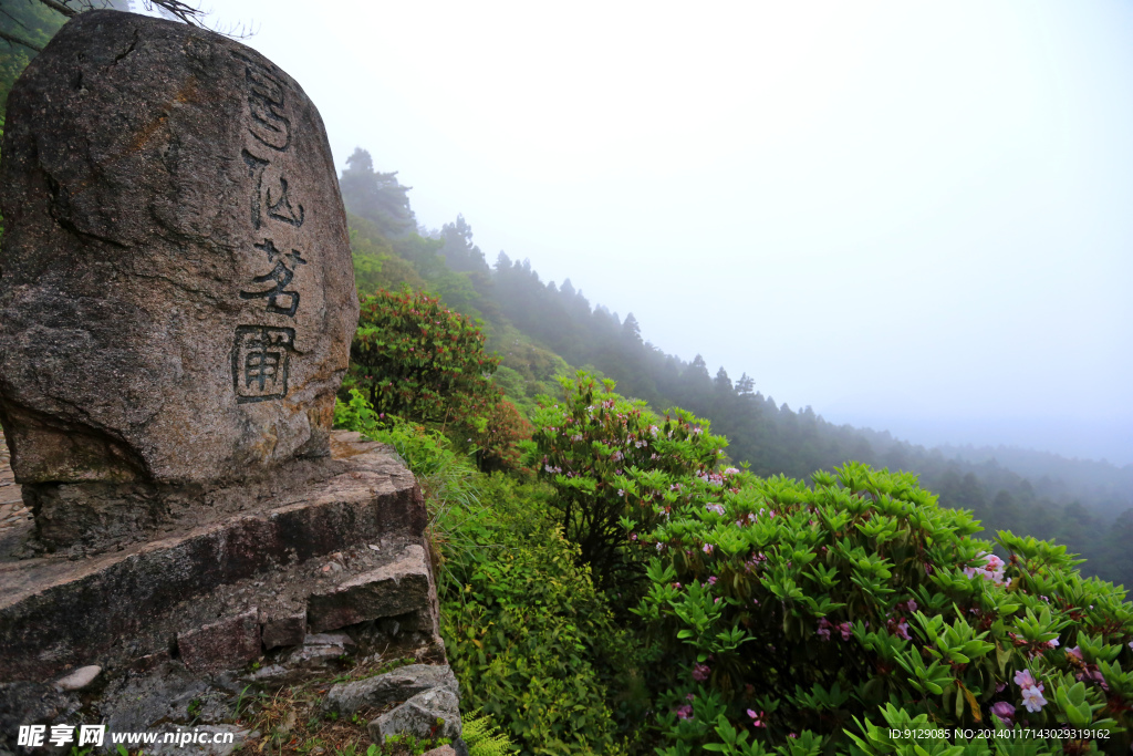 浙江华顶国家森林公园