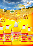 食用油广告